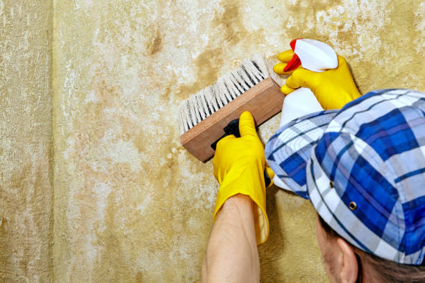 Best Industrial Mold Remediation  in Oxford, NC