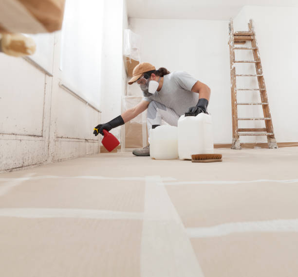 Best Comprehensive Air Testing for Mold Contaminants  in Oxford, NC